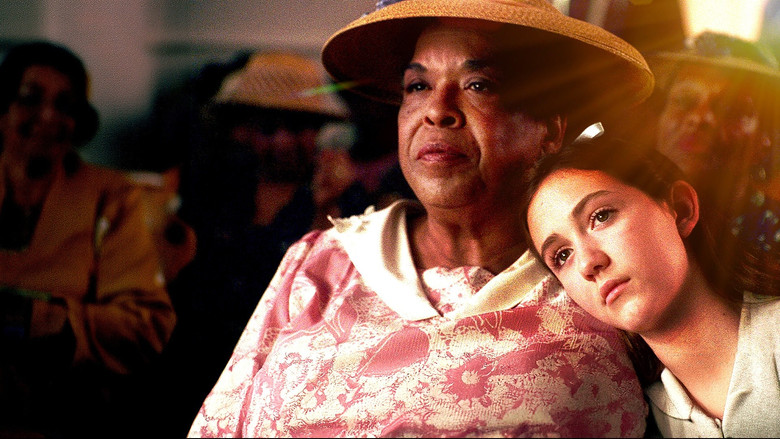 The Secret Path - VJ Junior